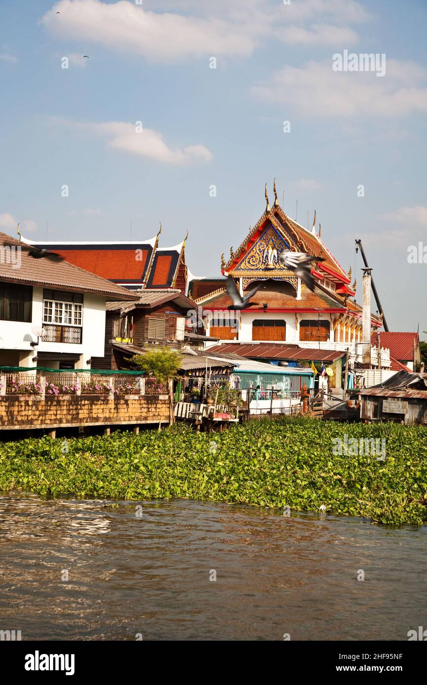 Tempel am Fluss Mae Nam Chao Phraya in Bangkok Stockfoto