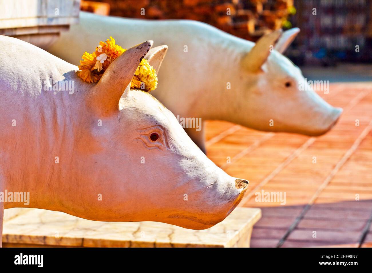 Schöne Statue von Schweinen als Götter mit Blumen gekleidet im Tempel Wat Yai Chai Mongkol Stockfoto