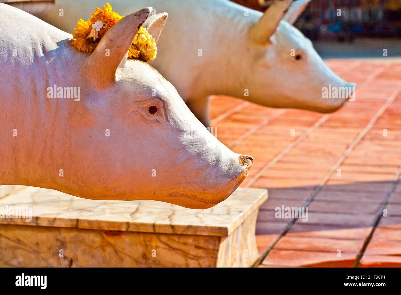 Schöne Statue von Schweinen als Götter mit Blumen gekleidet im Tempel Wat Yai Chai Mongkol Stockfoto
