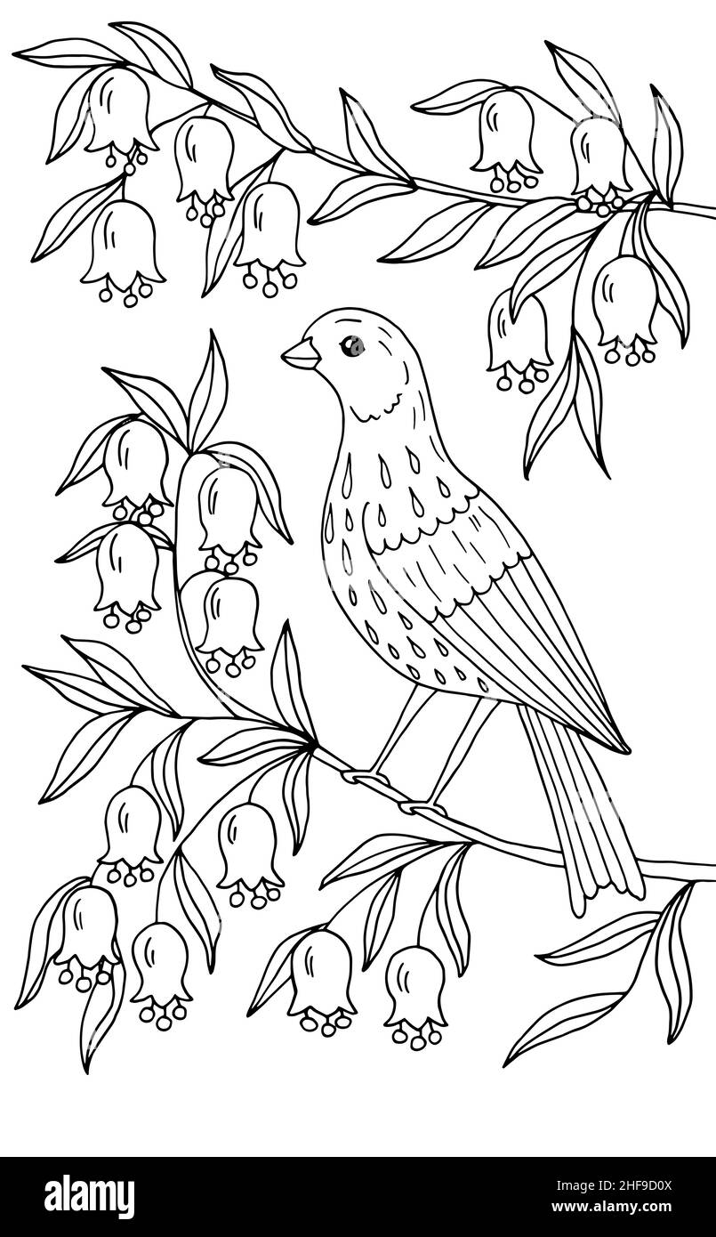 Ein schöner Vogel sitzt auf einem Zweig eines blühenden Baumes in Blumen. Malvorlagen für Kinder und Erwachsene. Vektorgrafik. Stock Vektor