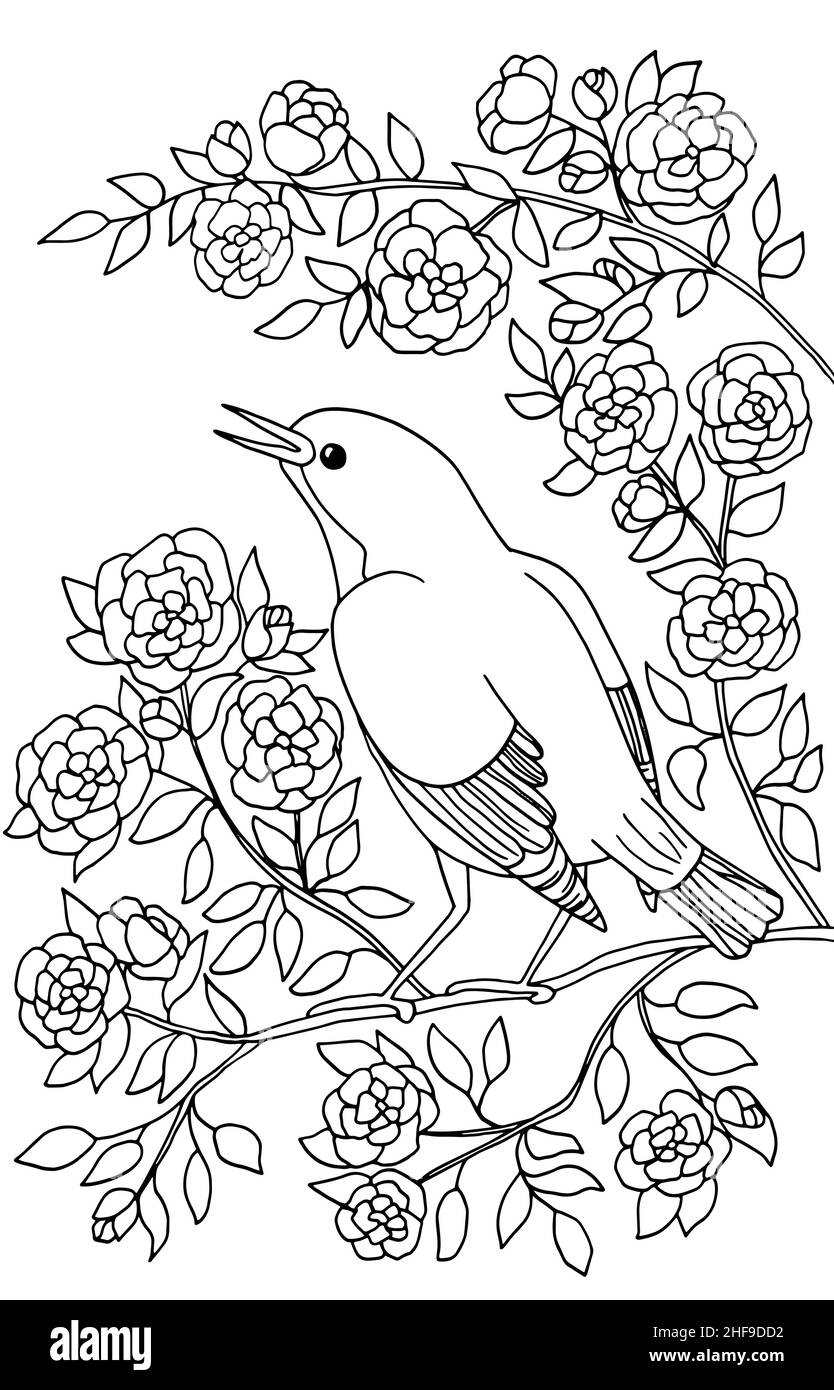 Ein schöner Vogel sitzt auf einem Zweig eines blühenden Baumes in Blumen. Malvorlagen für Kinder und Erwachsene. Vektorgrafik. Stock Vektor