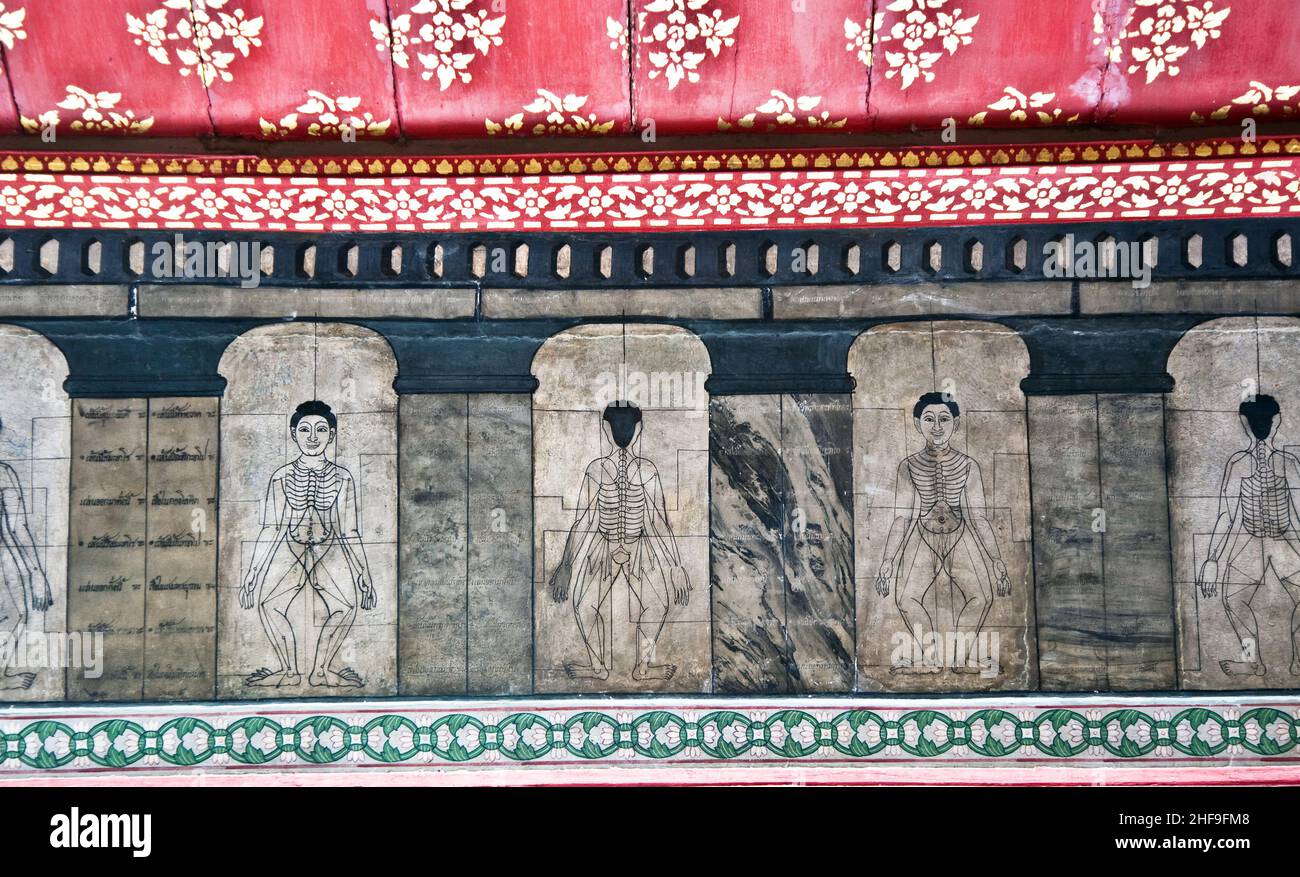 Gemälde im Tempel Wat Pho lehren Akupunktur und Fareastmedizin Stockfoto