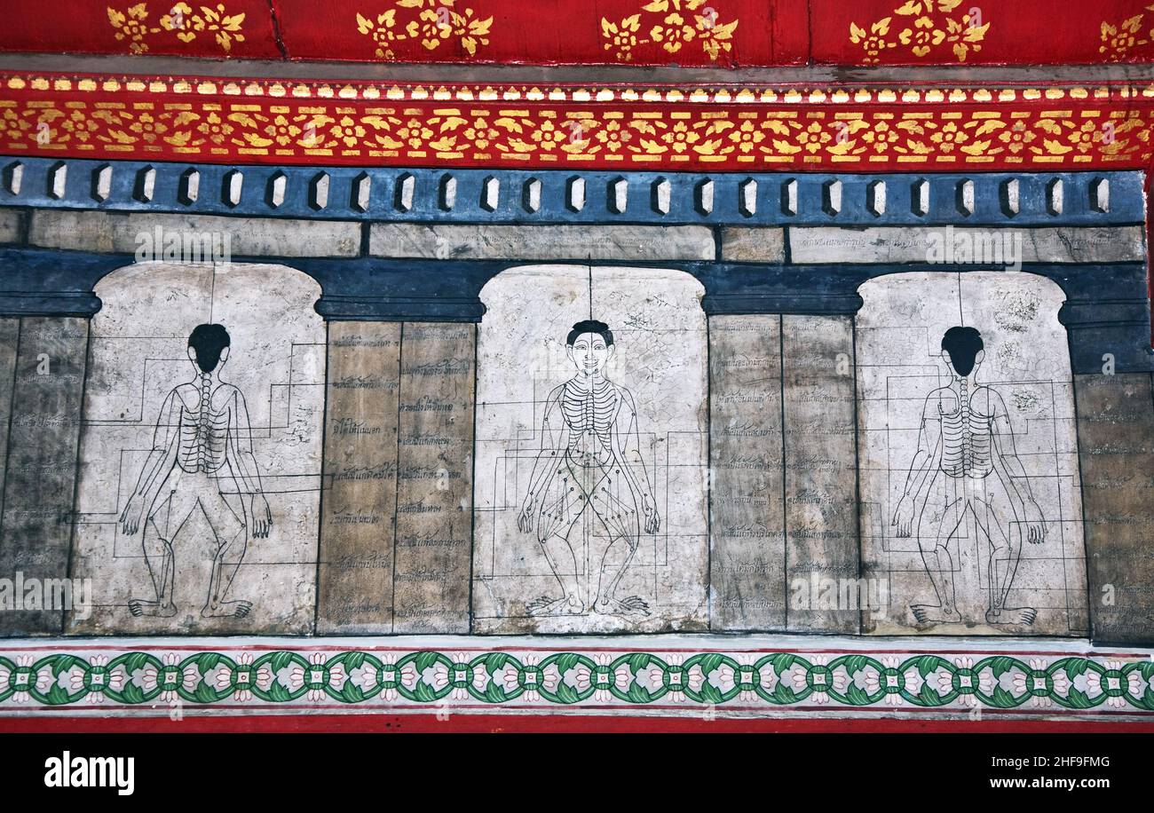 Gemälde im Tempel Wat Pho lehren Akupunktur und Fareastmedizin Stockfoto