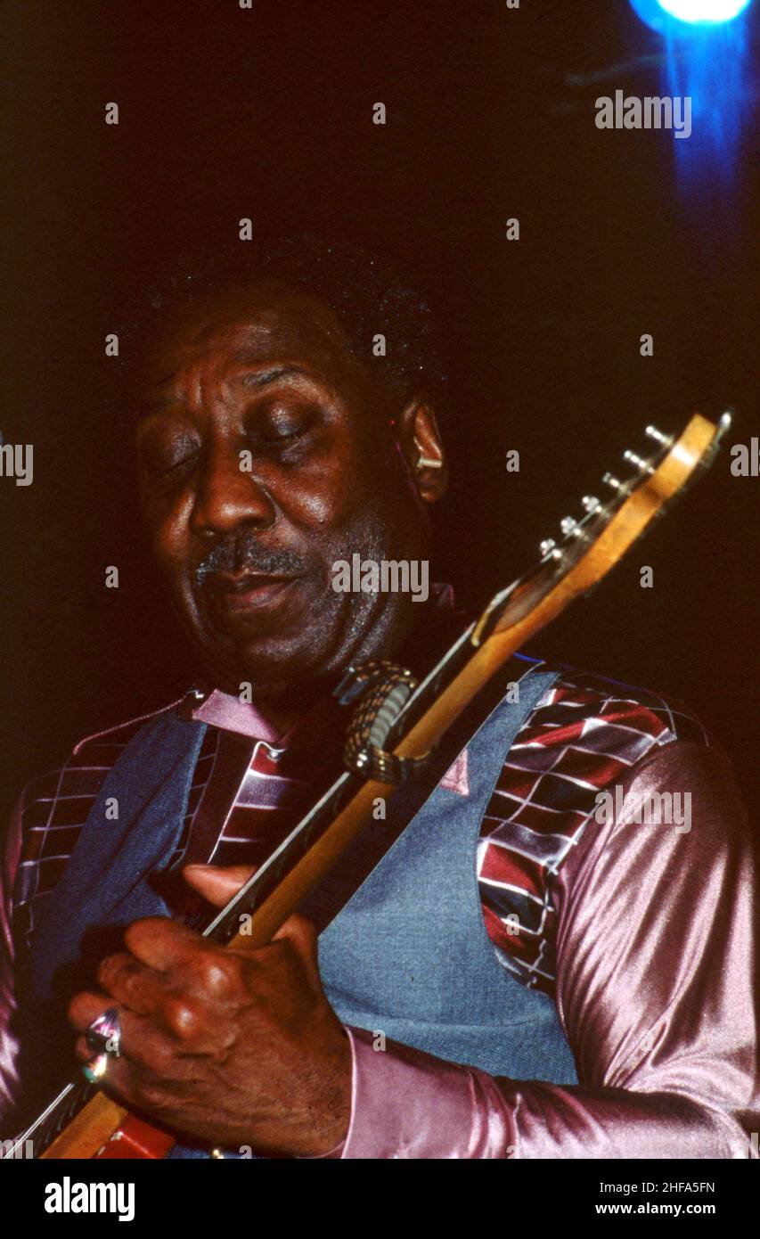 DETROIT, MI - 1979: Muddy Waters (1913-1983) spielt seine Gitarre auf der Bühne um 1979 in Detroit, Michigan. Bild: Ross Marino / Rock Negative / MediaPunch Stockfoto