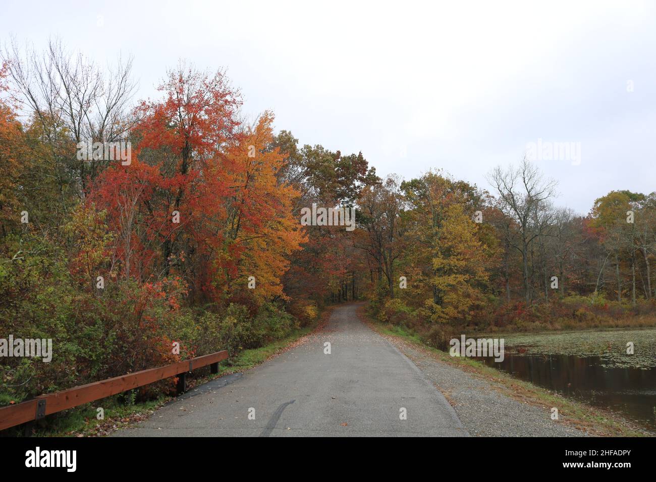 Der Weg weniger zurückgelegt Stockfoto
