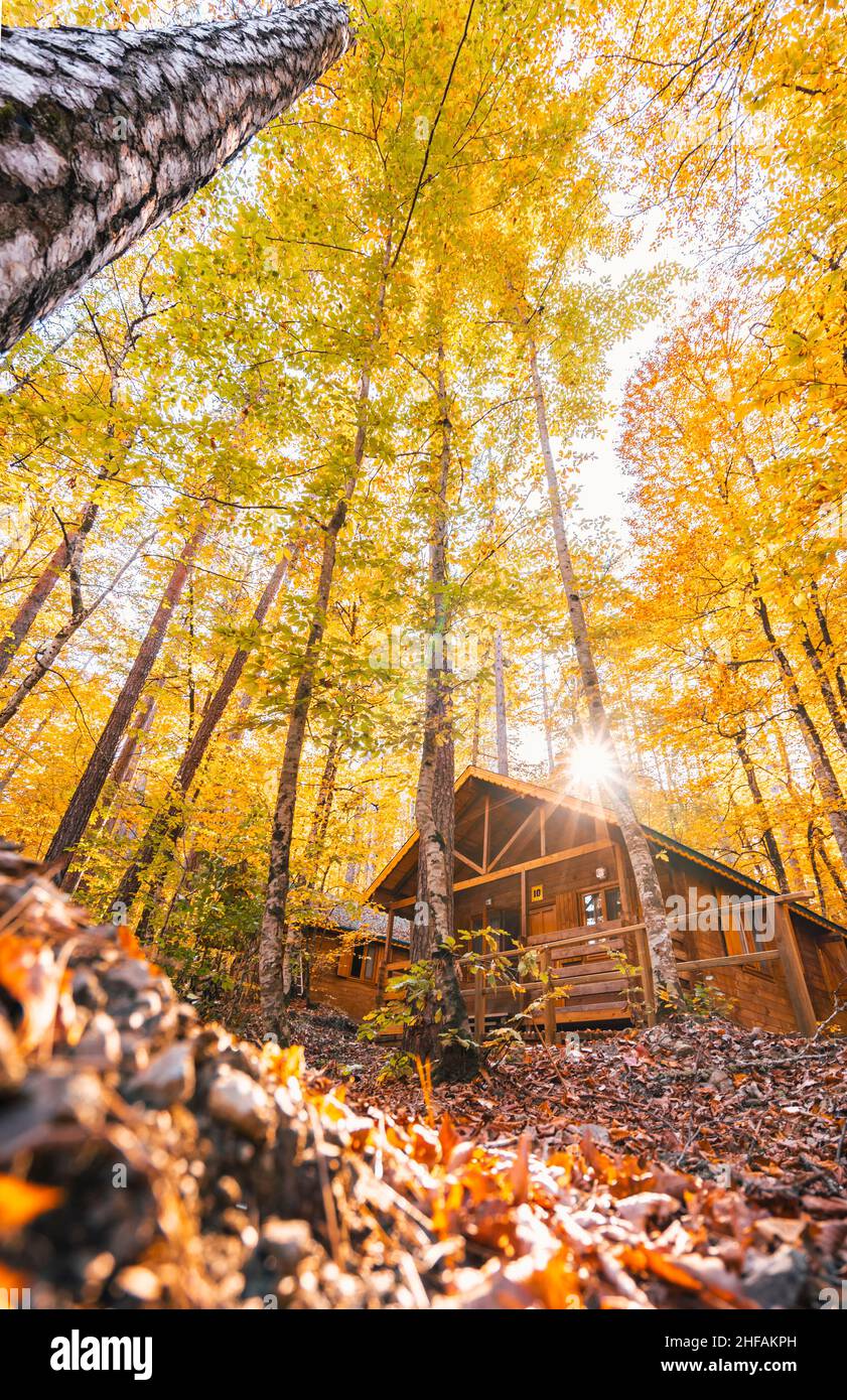 Schöner Herbstblick mit Holzhaus im Yedigler Nationalpark (sieben Seen). Bolu ist eine Provinz im Nordwesten der Türkei. Stockfoto