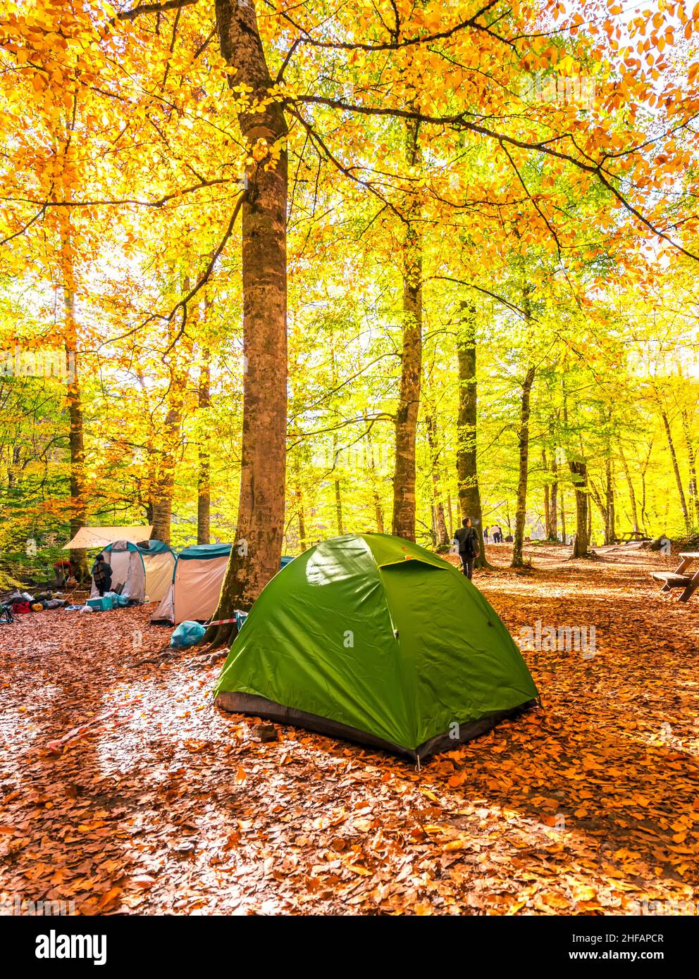 Schöner Herbstblick mit grünem Campingzelt im Yedigoller Nationalpark (sieben Seen). Bolu ist eine Provinz im Nordwesten der Türkei. Stockfoto