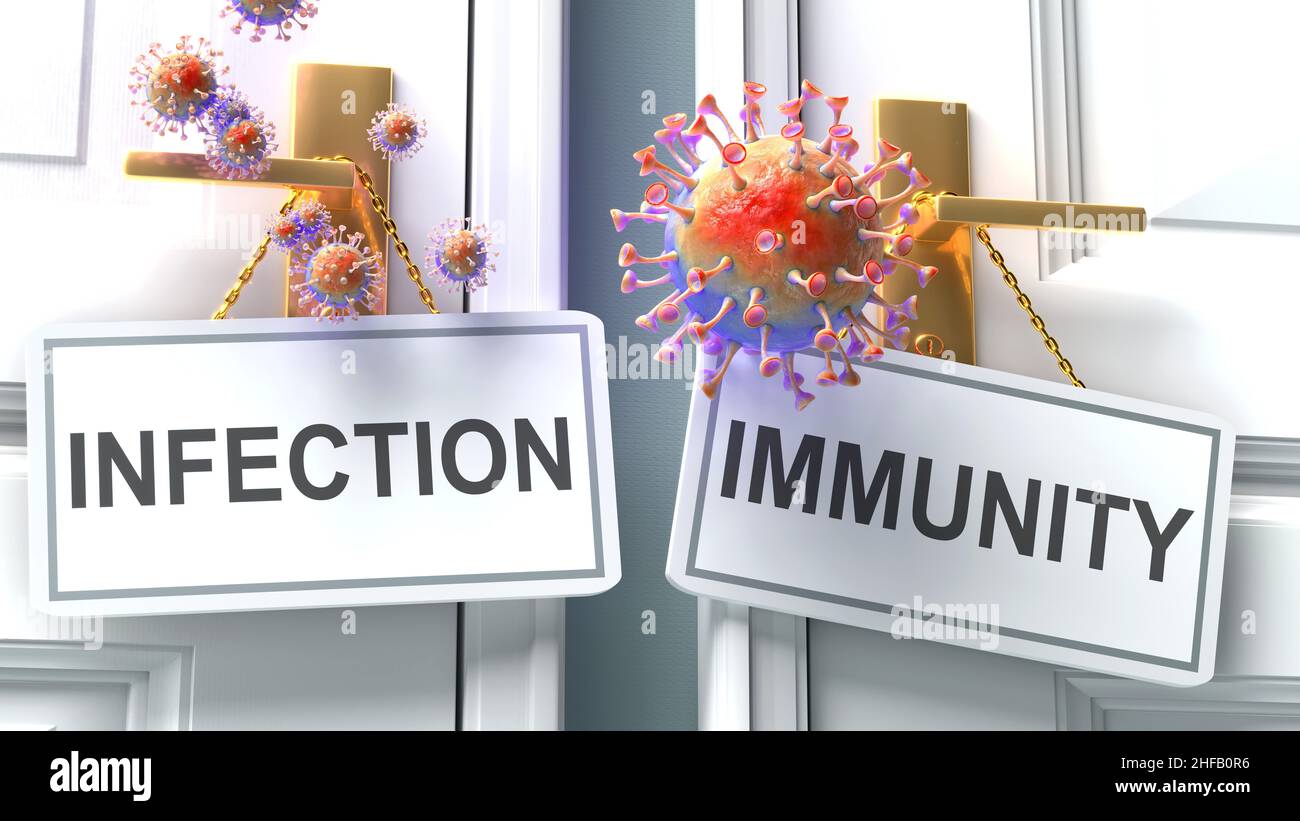 Covid-Infektion oder -Immunität - Ausgang einer Viruspandemie und zwei zukünftige Alternativen, die als „Infektion“ und „Immunität“-Türklinke bezeichnet werden, 3D Illust Stockfoto
