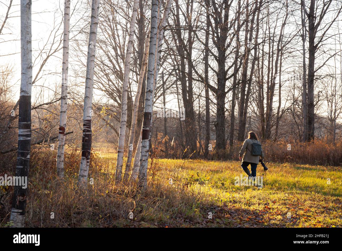 Ein Naturfotograf, der nach Motiven in einer herbstlichen Wildnis in Estland sucht. Stockfoto