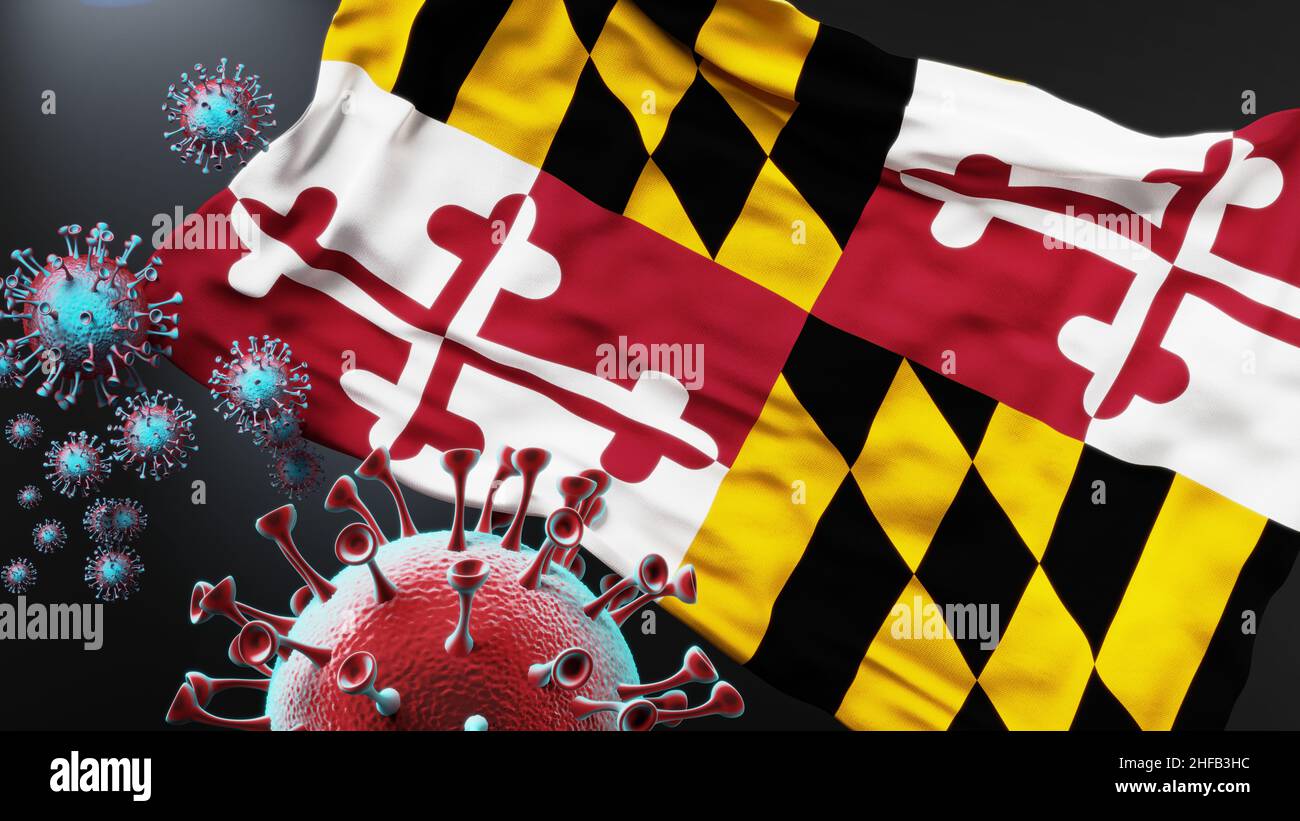 Maryland und covid Pandemie - Virus greift eine Staatsflagge von Maryland als Symbol für einen Kampf und Kampf mit der Virus-Pandemie in diesem Staat an, 3D i Stockfoto