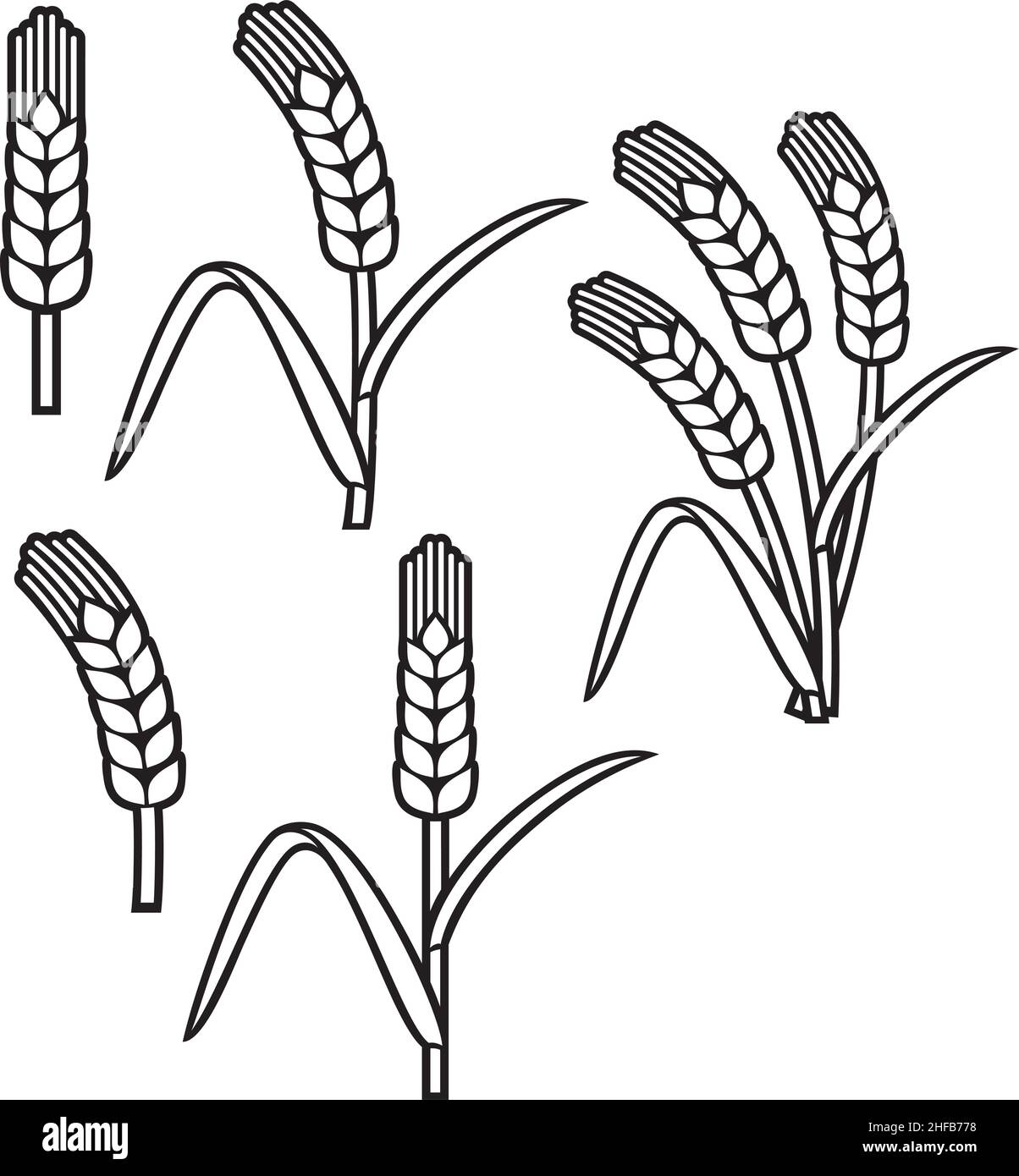 Vektorgrafik für Symbolsatz für Weizenohren Stock Vektor