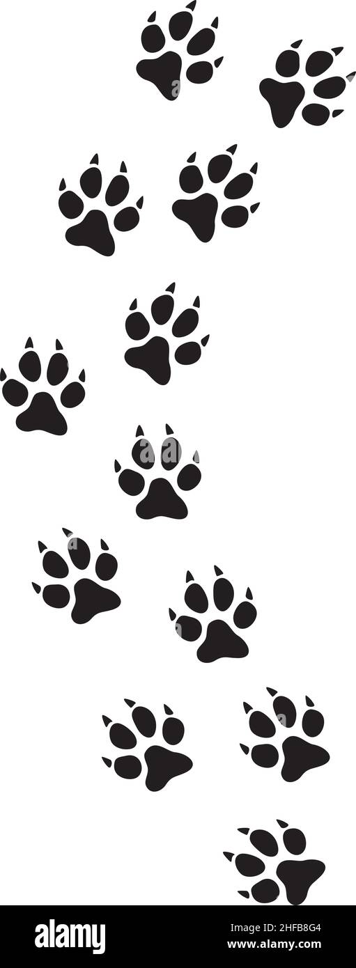 Abbildung des Vektorgrafiks für Katzenpfoten Stock Vektor