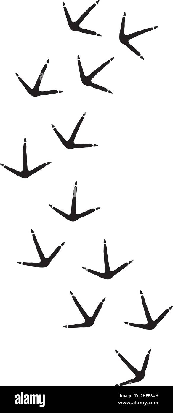 Vektor-Illustration mit Vogelabdrücken. Hähnchenstufen. Stock Vektor