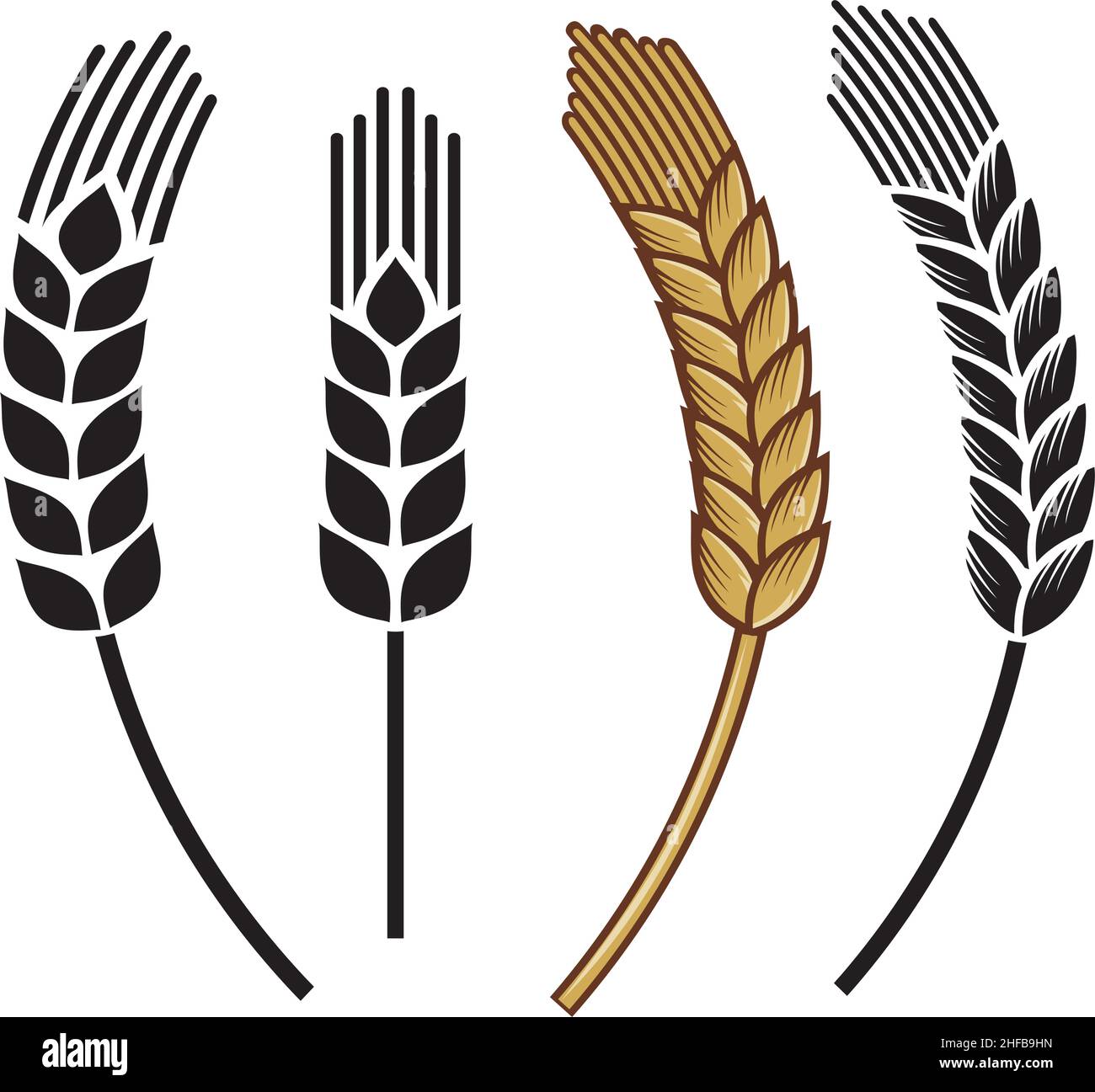 Vektorgrafik für Symbolsatz für Weizenohren Stock Vektor