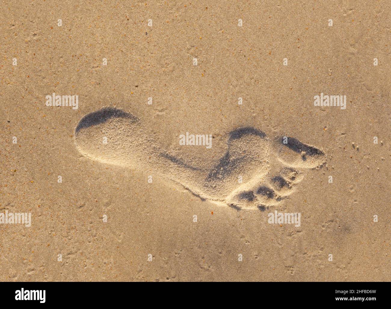 Fußabdrücke am Strand in feinem Sand Stockfoto