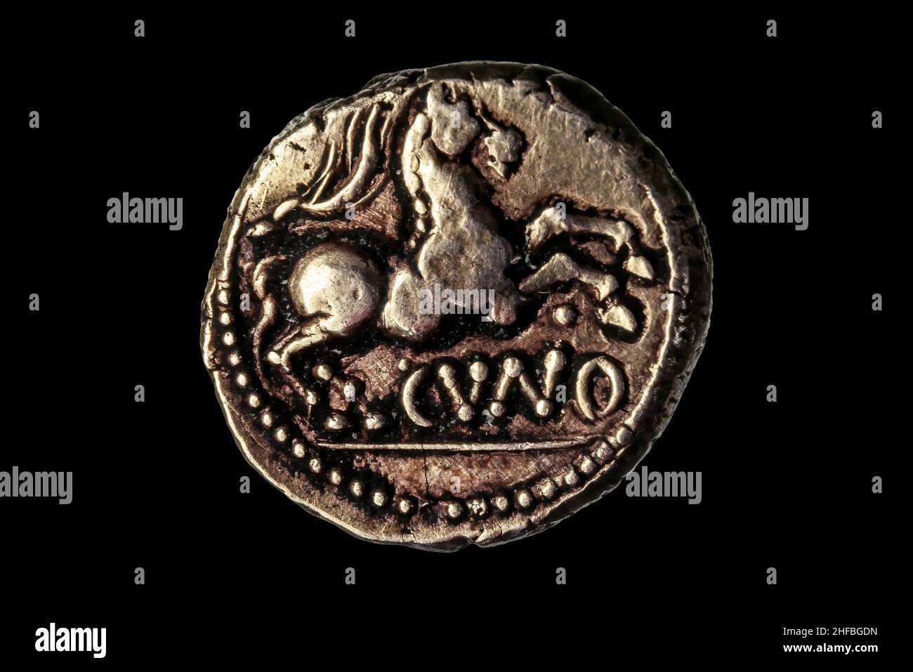 Britische Goldstater-Münze des eisenzeitlichen Catuvellauni-Stammes, die ein Pferd aus dem Fundort Essendon zur Zeit der römischen Invasion der Briten zeigt Stockfoto