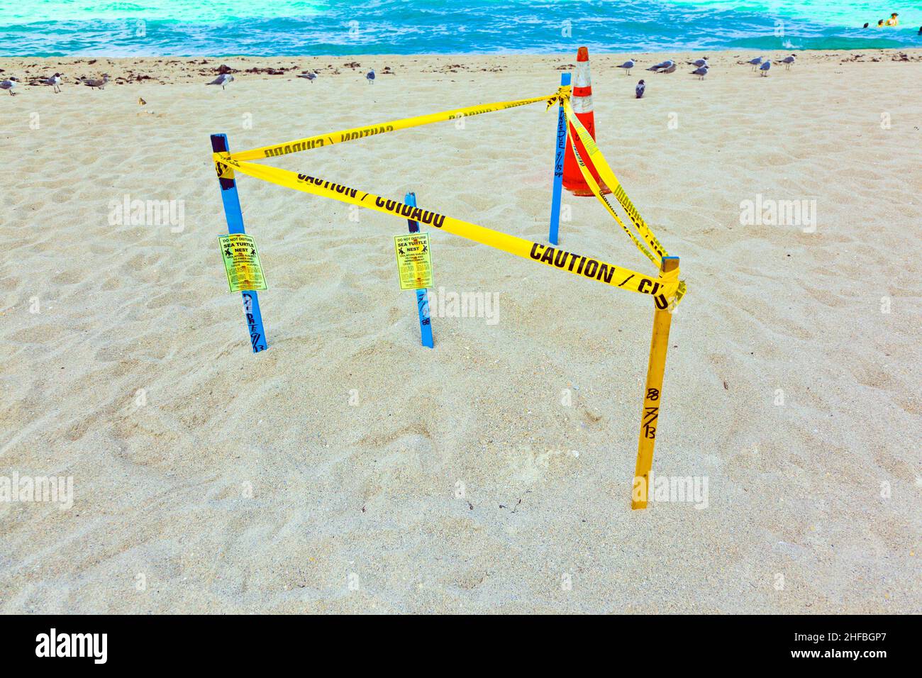 Meeresschutznetz unter dem Sand des Strandes durch eine Barriere geschützt Stockfoto