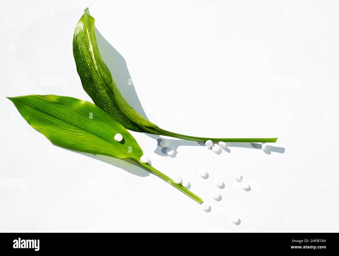 Alternative Medizin. Große grüne Blätter und eine Streuung von Mineraltabletten. Stockfoto