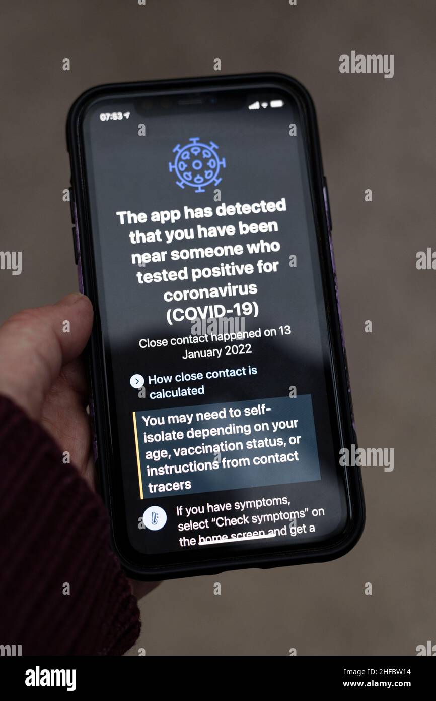 Mobiltelefon mit der NHS Track and Trace App, die auf einen engen Kontakt hinweist, hat Coronavirus Stockfoto