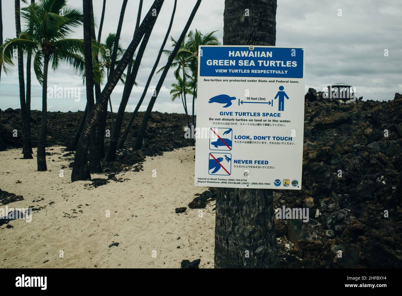 Mahaiula Beach auf Big Island in hawaii. Hochwertige Fotos Stockfoto