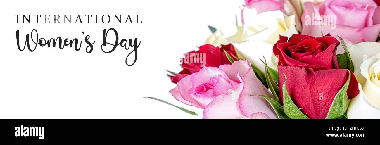 Internationaler Frauentag März 8 Text Script Banner Hintergrund mit rosa Rosen Blumenhintergrund Stockfoto