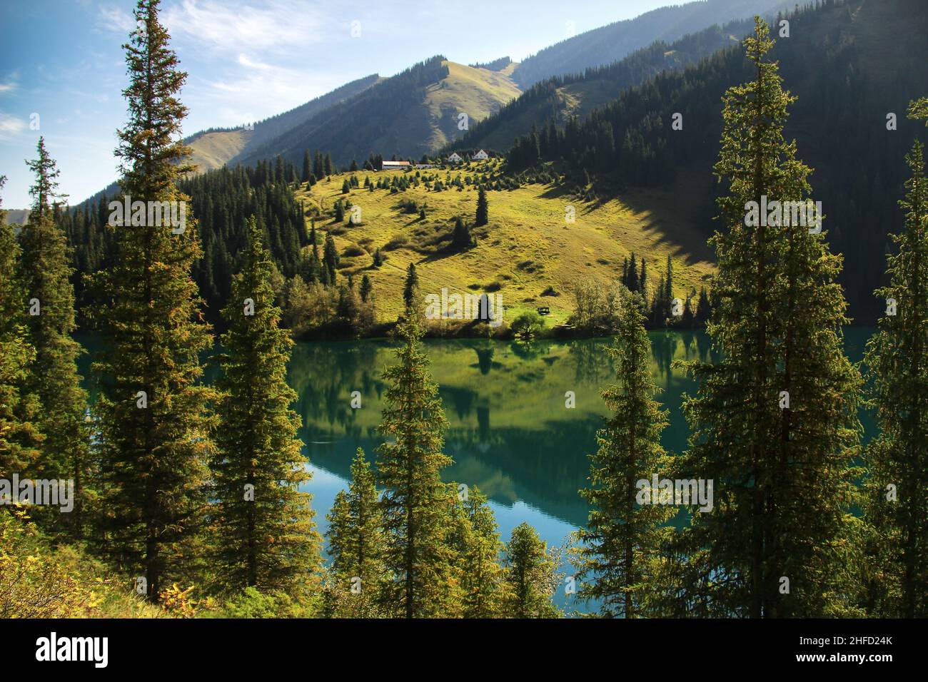 Kolsai Alpensee mit Bäumen im Sommer Stockfoto