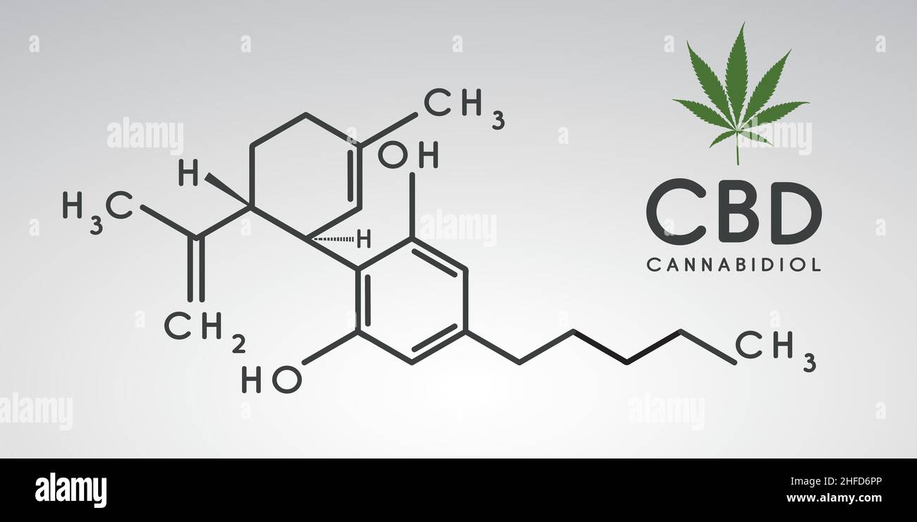 cbd-Formel. Cannabidiol-Molekül-Strukturverbindung. Medizinische Marihuanamoleküle, Cannabidiol-biochemische Formel. Sucht nach Chemie. Vektor-Illus Stock Vektor