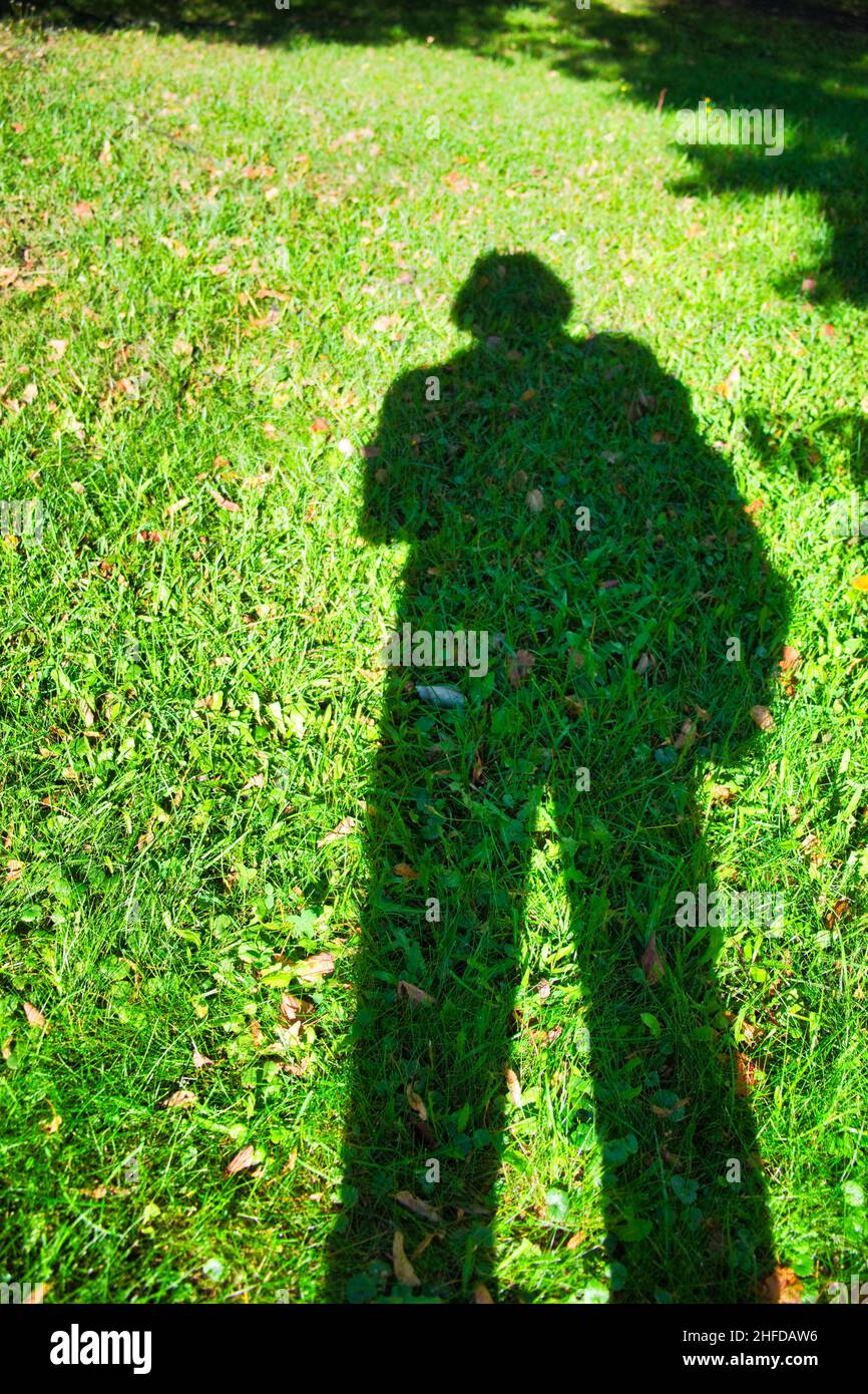 Menschlicher Schatten am Sommerabend auf grünem Gras. Abstrakter Hintergrund. Stockfoto