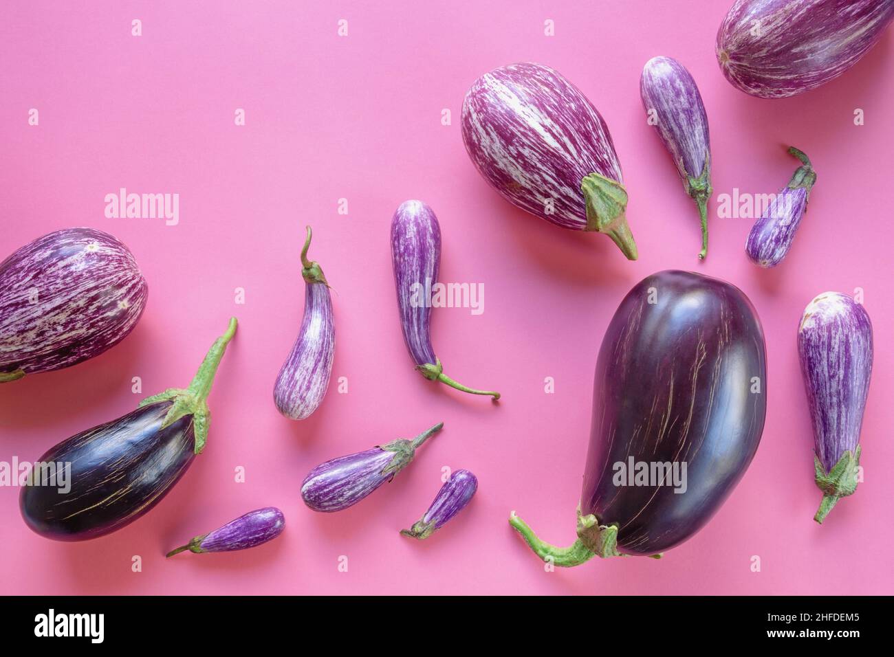 Verschiedene Auberginen-Sorten auf rosa Hintergrund. Flach liegend, freier Platz für Text Stockfoto