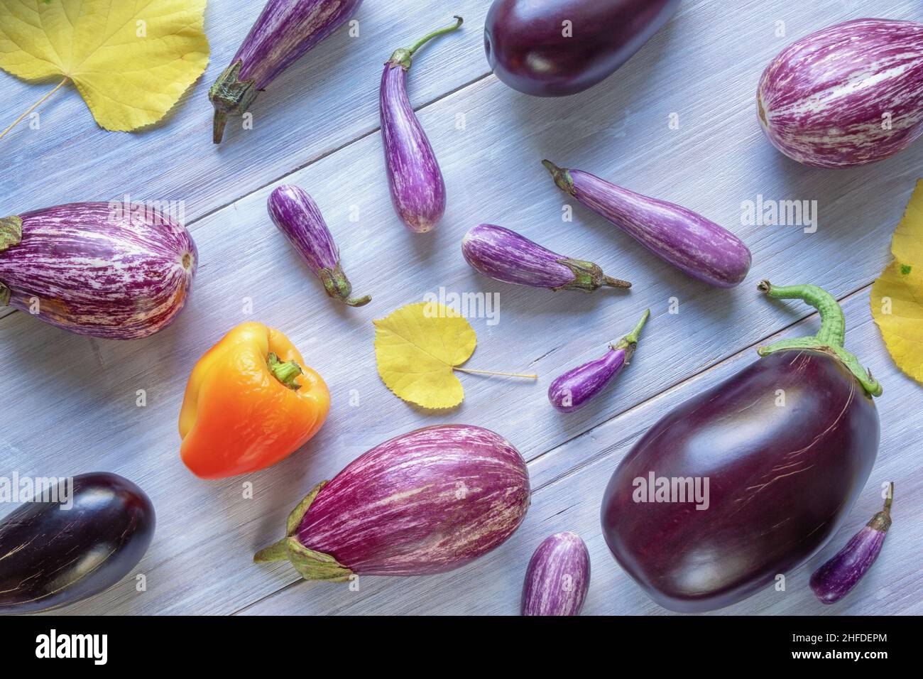 Herbstgemüse. Roter Paprika, verschiedene Auberginen-Sorten und gelbe Blätter auf weißem rustikalem Tisch Stockfoto