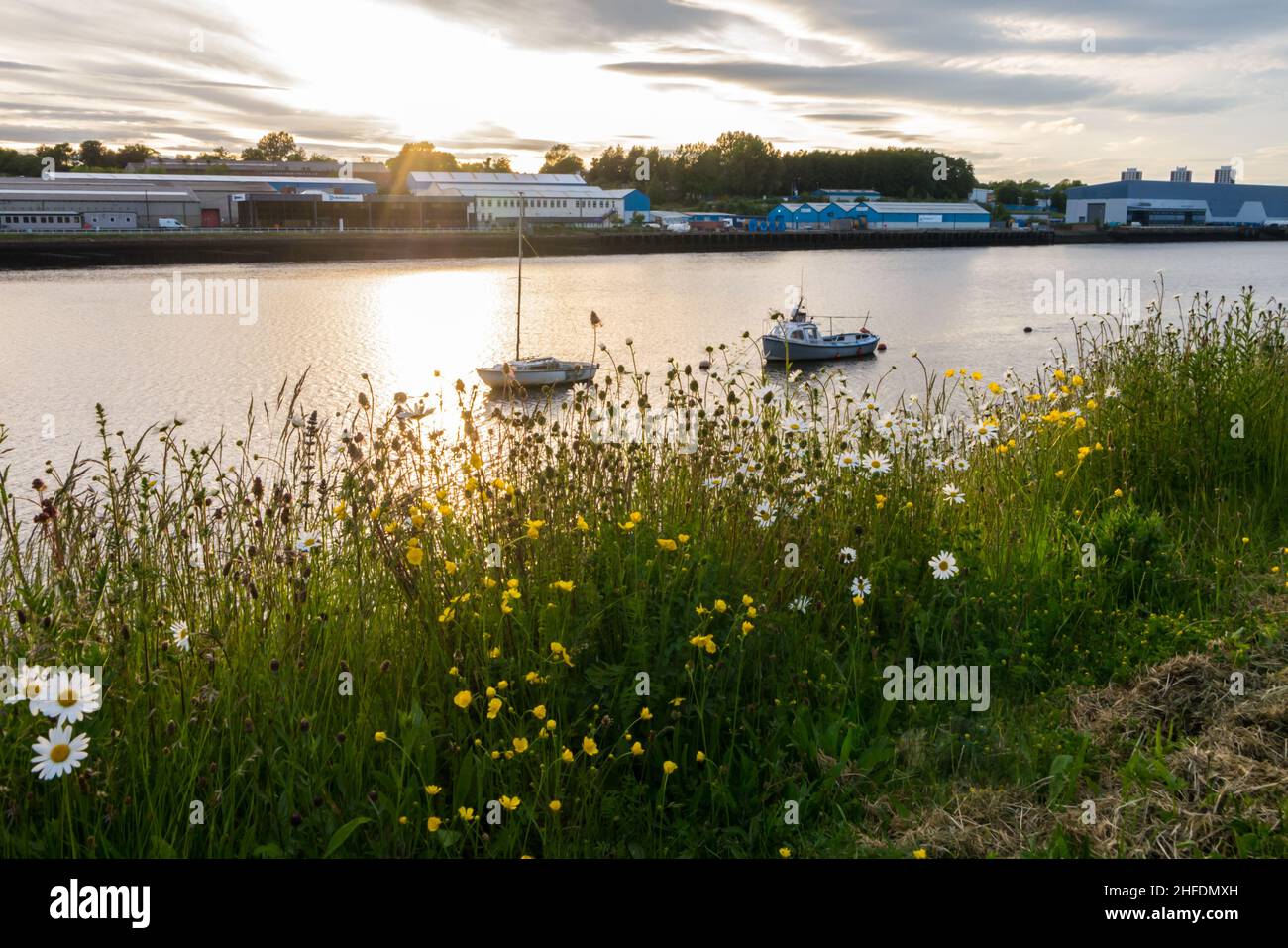 Eine ruhige Flusslandschaft mit Flussblumen und Booten auf dem Fluss Tyne Stockfoto