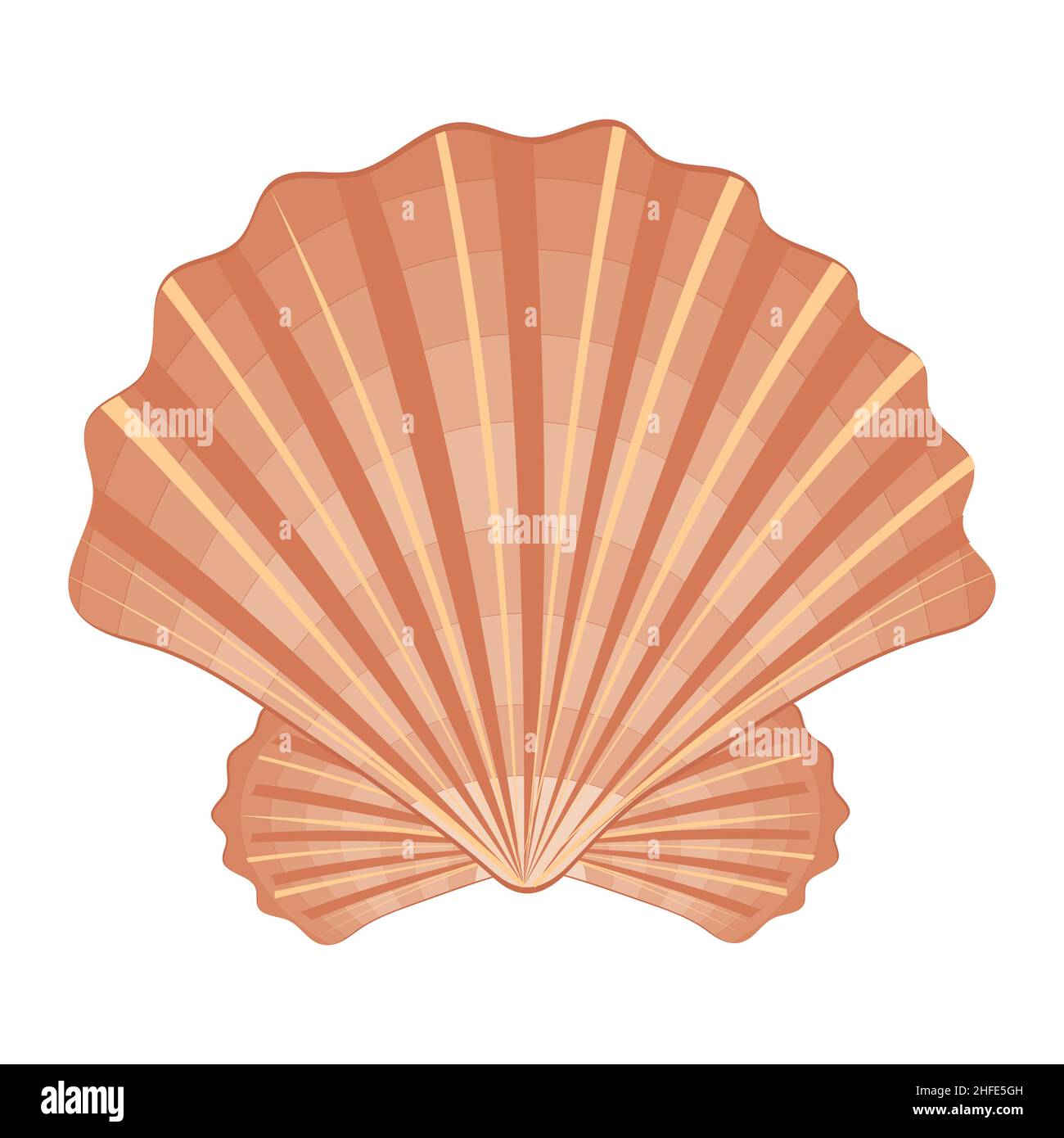 Farbe isoliert Muschel, isoliert Vektor-Illustration in Cartoon-Stil. Stock Vektor