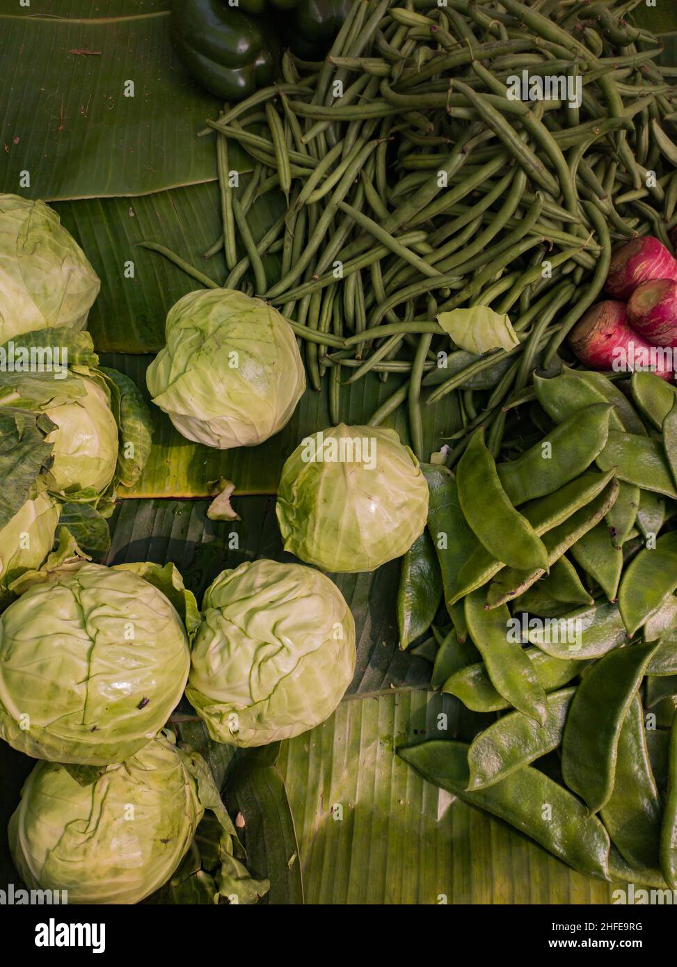 Wintergemüse im Einzelhandelsgeschäft zum Verkauf in bengalen indien. Grünkohl, dolichos-Bohnen, Karotten und andere saisonale Gemüse zusammen gehalten Stockfoto