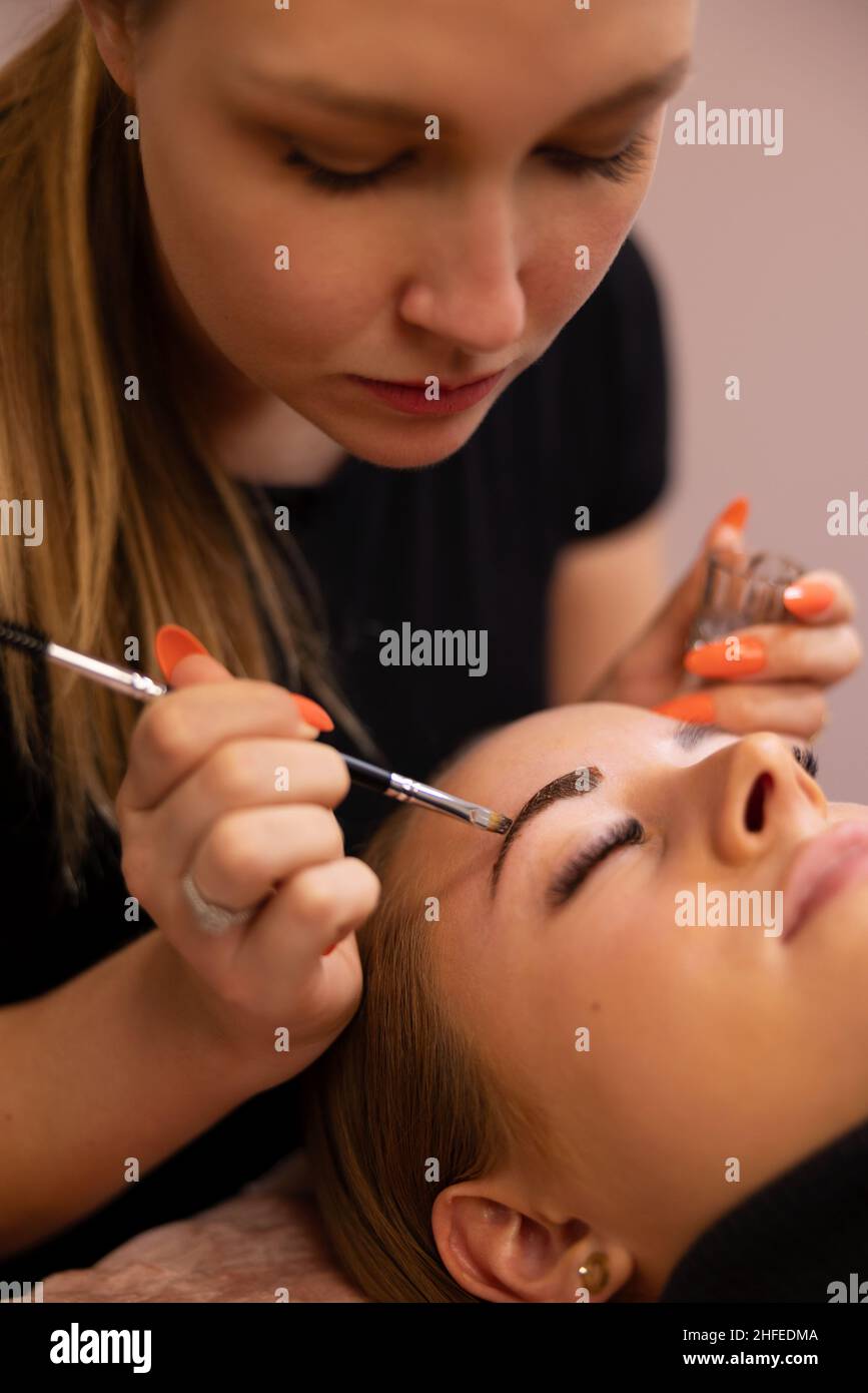 Kosmetologin, die Färben auf die Augenbraue des weiblichen Klienten anwendet Stockfoto