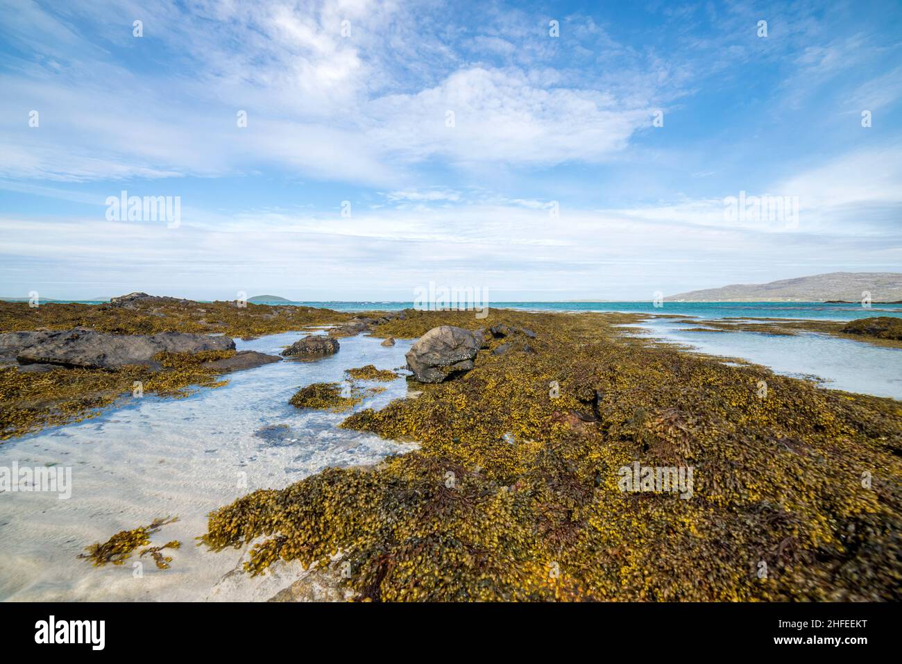 Weitwinkel eines felsigen schottischen Algenstrandes - Insel Orosay und South Uist sichtbar von einem Eriskay Strand Stockfoto