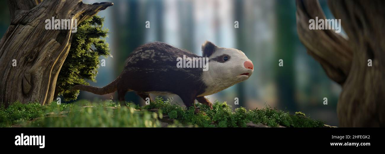 Alphadon, ein kleines ausgestorbenes Säugetier aus der späten Kreidezeit, das neben Dinosauriern lebte Stockfoto