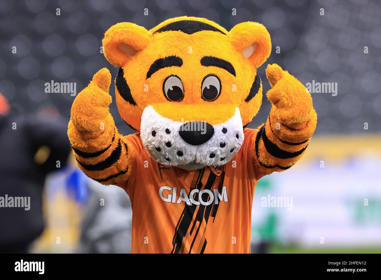 Das Maskottchen von Rory, dem Tiger Hull City, gibt den Daumen nach oben  Stockfotografie - Alamy