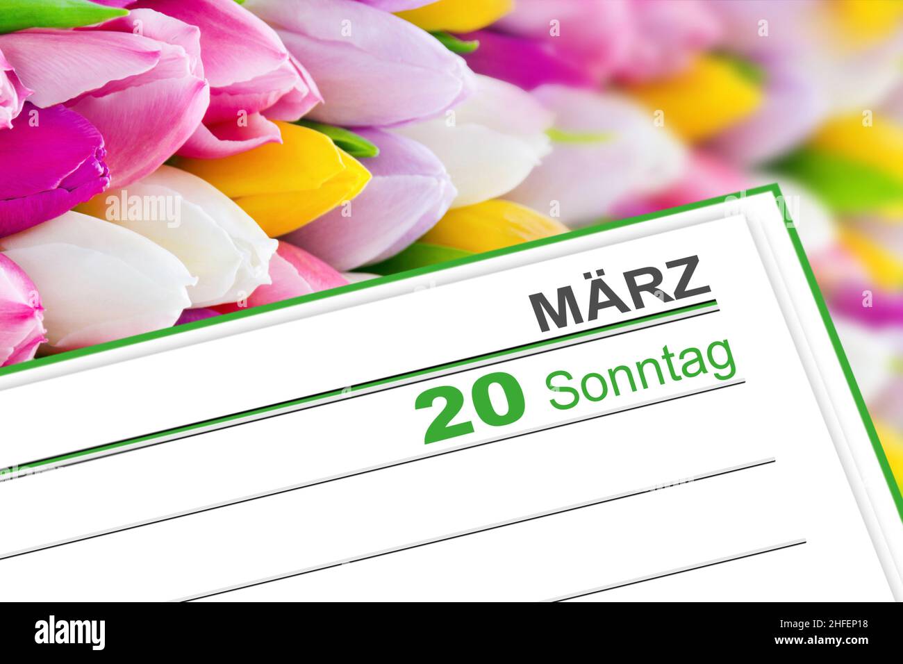 Deutscher Kalender 2022. März 20 Sonntag mit Tulpen Stockfoto