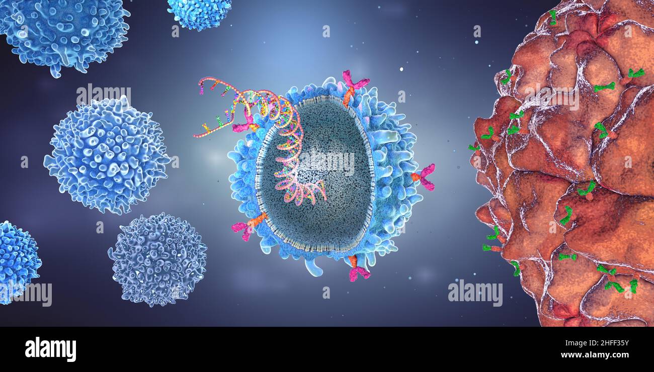 Genetisch veränderte chimäre Antigenrezeptor-Immunzelle mit implantiertem Genstrang - 3D Abbildung Stockfoto