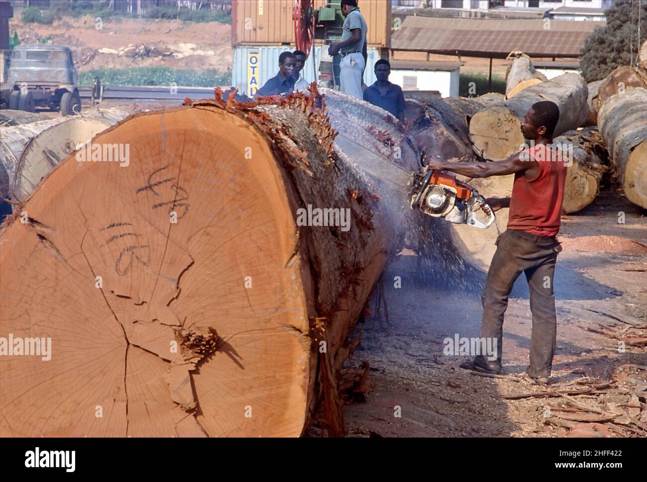 Sägearbeiter schneidet in einem Sägewerk in Ghana, Westafrika, Baumstämme. Stockfoto