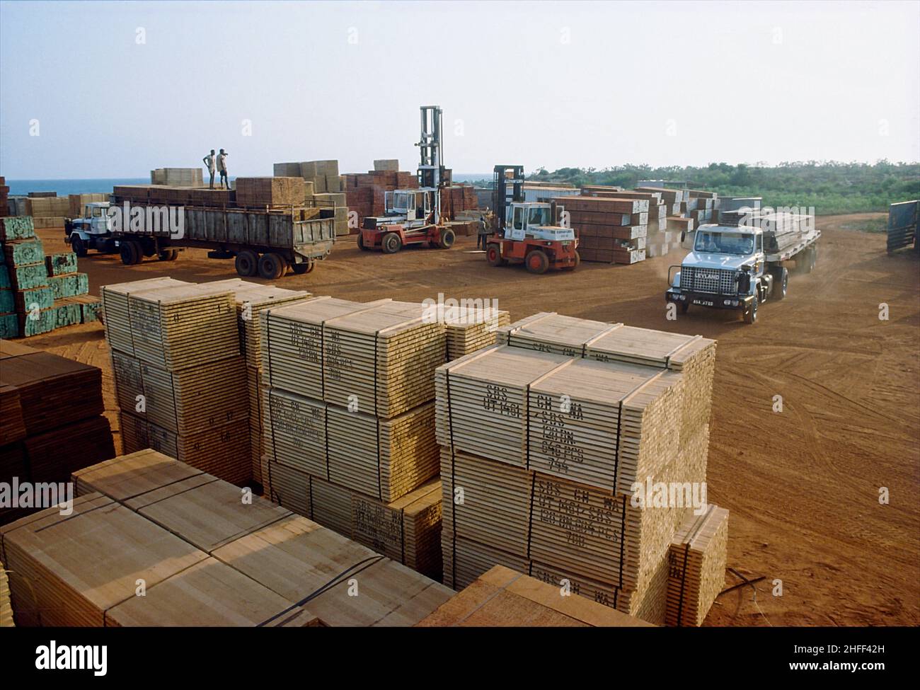 Umladung exportfertiger Holzstapel am Holzterminal in der Nähe von Tema, Ghana, Westafrika. Stockfoto