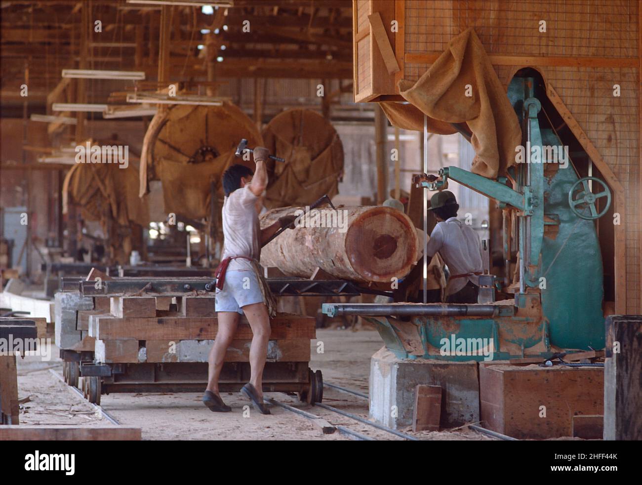 Sägearbeiter, der in einem Sägewerk in der Nähe von Accra, Ghana, Westafrika, einen schweren Baumstamm mit einer Bandsäge aufsägt. Stockfoto