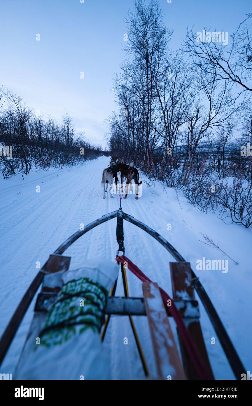 Hundeschlitten in Schwedisch Lappland, Winter. Schweden Stockfoto