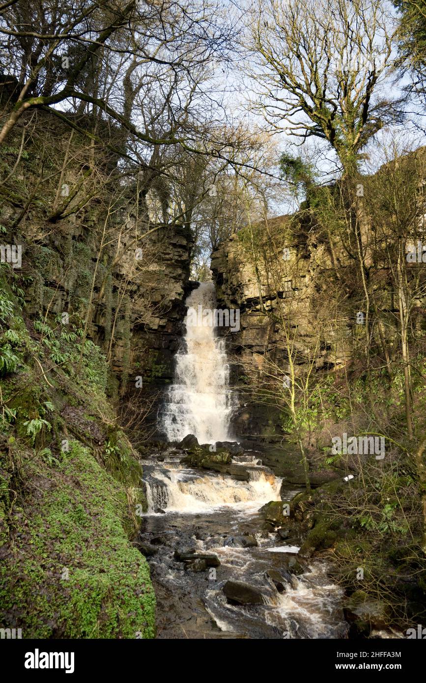 Mill Gill Falls, Askrigg, Yorkshire Dales National Park, Großbritannien. Stockfoto