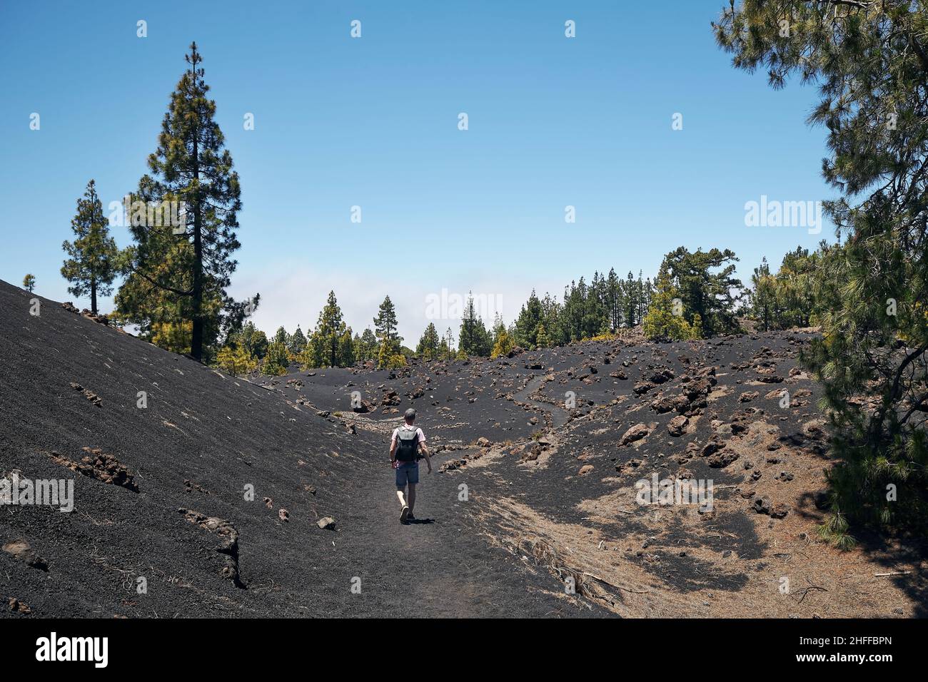 Reisende, die durch vulkanische Landschaft wandern. Mann mit Rucksack auf dem Fußweg in der Nähe des Vulkans Chinyero. Teneriffa, Kanarische Inseln, Spanien. Stockfoto