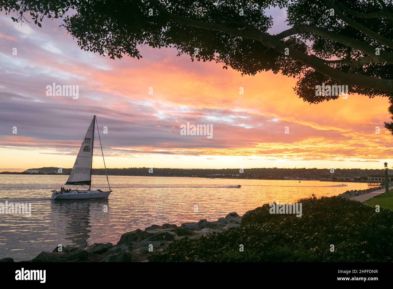 Ein Segelboot in der Bucht von San Diego, Kalifornien, am Samstag, den 15th. Januar 2022. Die Stadt hatte wegen des Tsunamis in Tonga einen Tsunami-Hinweis, aber in San Diego Bay (Rishi Deka/Sipa USA) war alles ruhig. Stockfoto