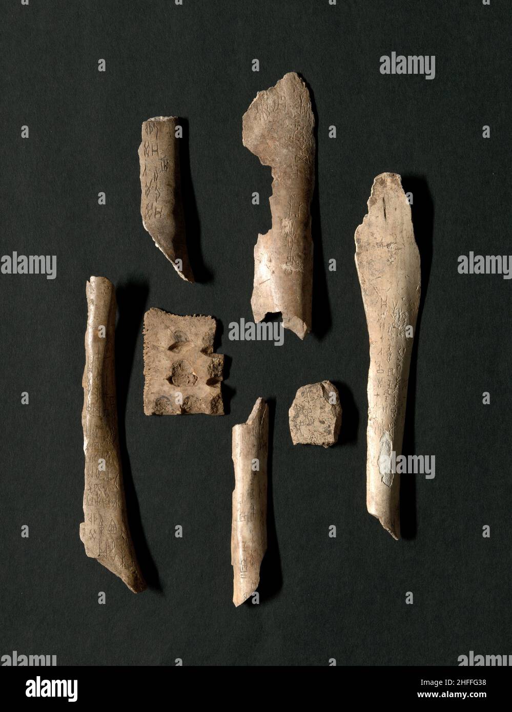 Oracle Bones (76 insgesamt), Shang-Dynastie (ca. 1600-1046 v. Chr.). Segmente von Schildkröten Plastrons und Knochen von Ochsen, poliert, verbrannt, mit geschnitzten Inschriften. Stockfoto