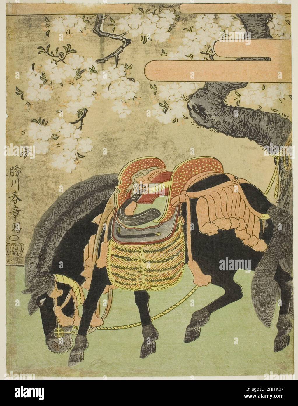 Schwarzes Pferd unter einem blühenden Kirschbaum, Japan, c. 1770. Stockfoto