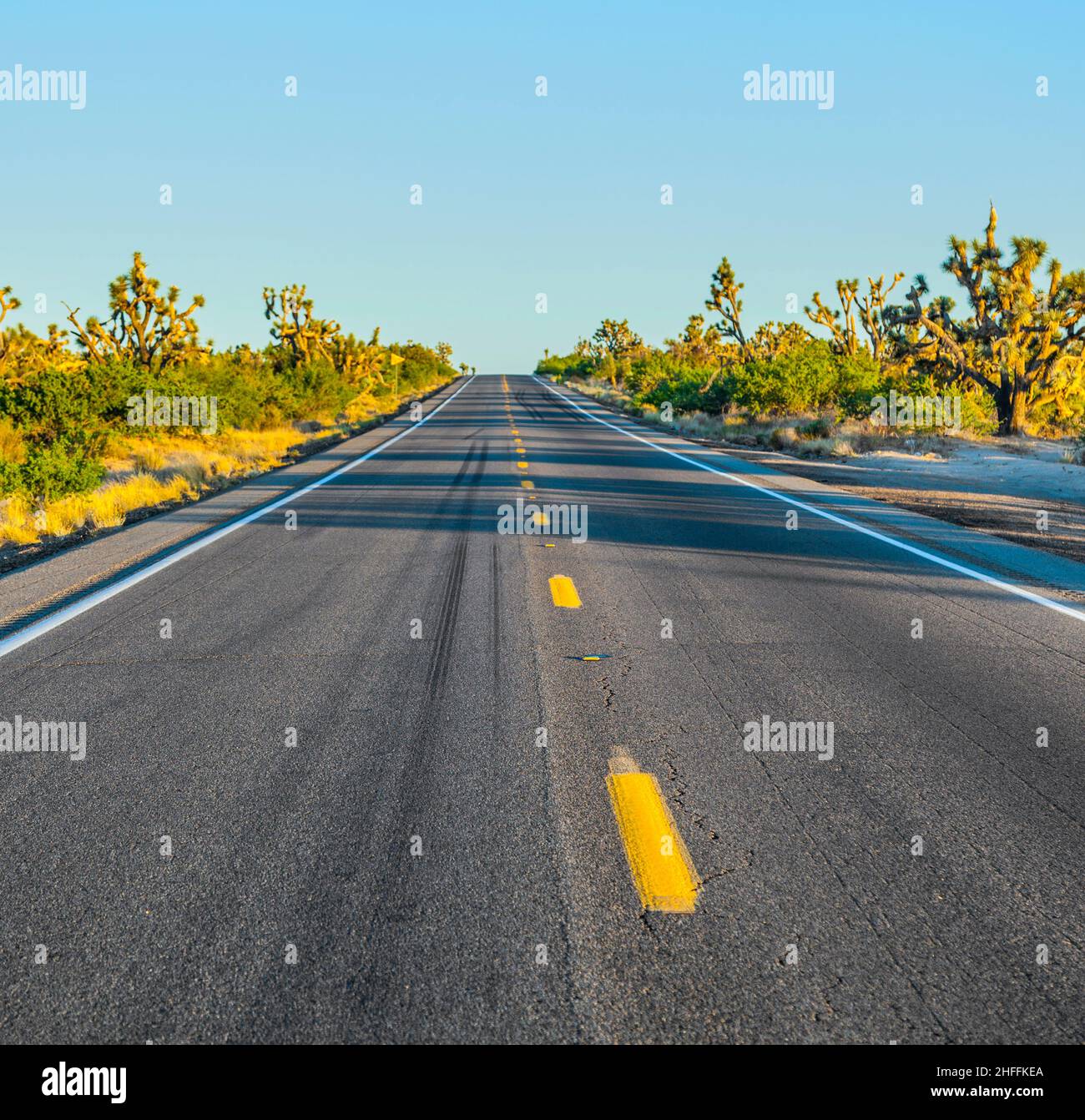 Straße im Sonnenuntergang Stockfoto