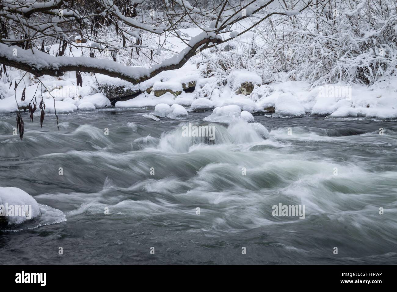 Sehr schöner natürlicher Hintergrund. Winter, fabelhafter Wald am Fluss. Die Bäume sind alle mit Schnee bedeckt. Stockfoto